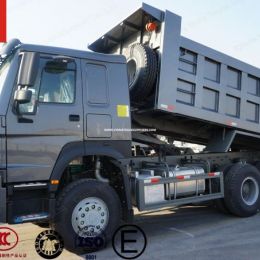 Sinotruk HOWO LHD/Rhd 6X4/8X4 336/371HP Tipper Truck