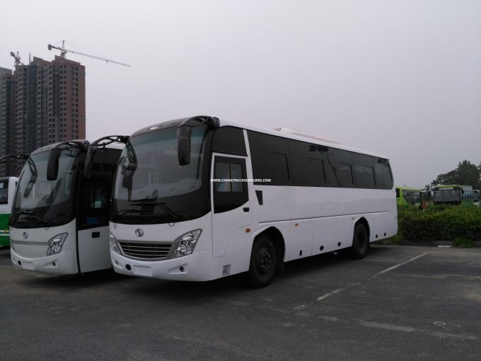 11m Tourist Bus with 47-55 Seats LHD/Rhd Diesel Coach for Sale 