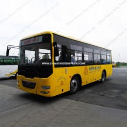 11m LHD/Rhd 45-55 Seats Tourist Bus/ Coach Bus for Sale