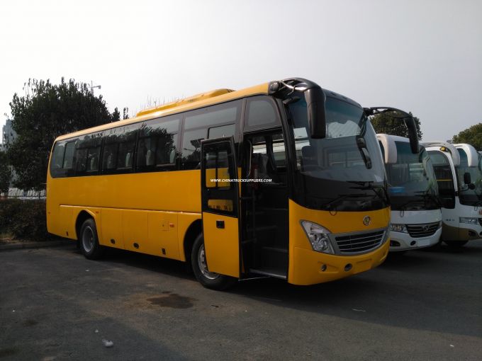 12m Coach Luxury 53 Seats Bus 