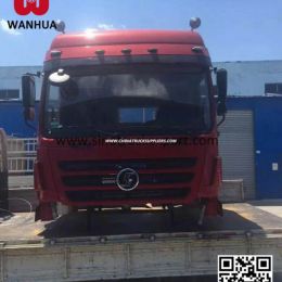 Heavy Duty Truck Shacman F3000 Delong Cab Assembly for Sale