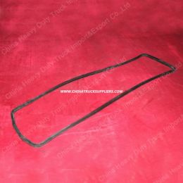 HOWO Original Parts Oil Pan Seal Gasket (Vg14150004)