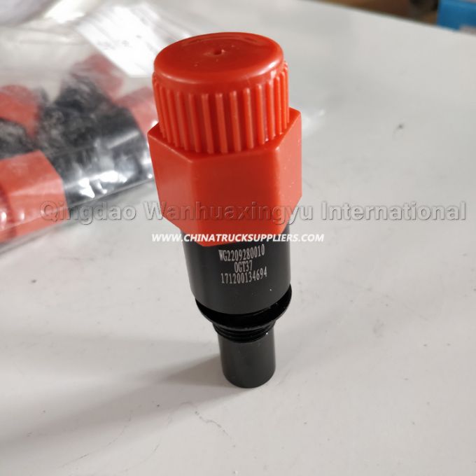 HOWO Odometer Sensor Wg2209280010 