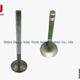 Sinotruk HOWO Spare Parts Engine Parts Intake Valve (Vg1540050015)