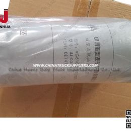 China Truck Spare Parts Oil Filter Parts (Vg61000070005)