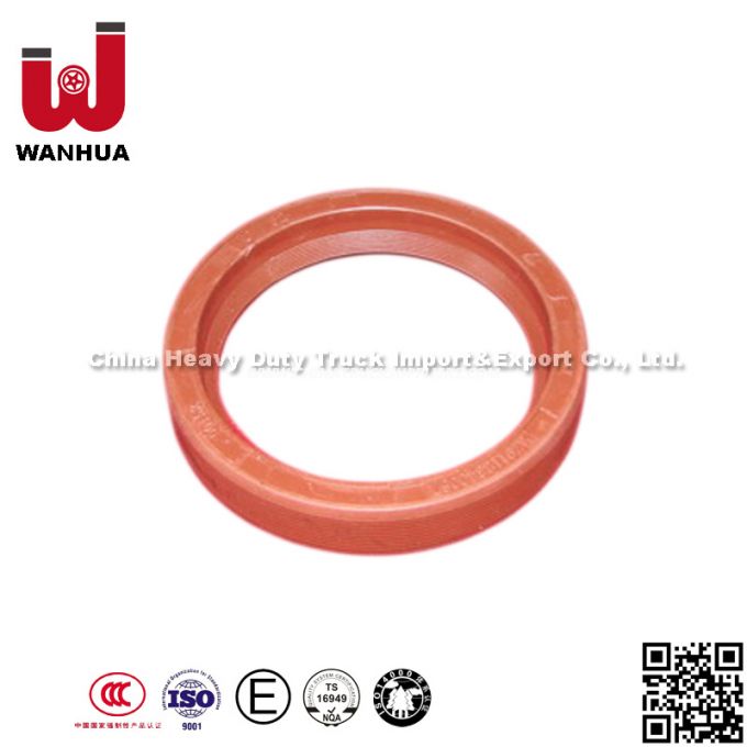 Sinotruck Spare Parts HOWO Truck Engine Oil Seal (Az9112340067) 