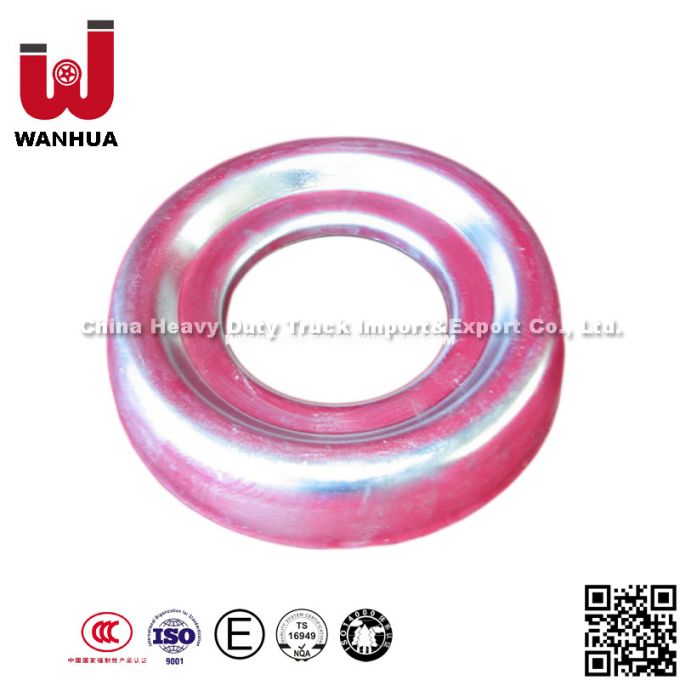 China Protective Cover Sinotruk HOWO Truck Parts (3264G189) 