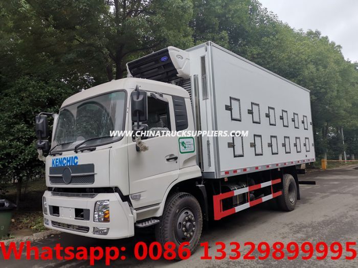 Dongfeng RHD day old chick transported truck for hatchery 40,000 babychick seedling transportation 