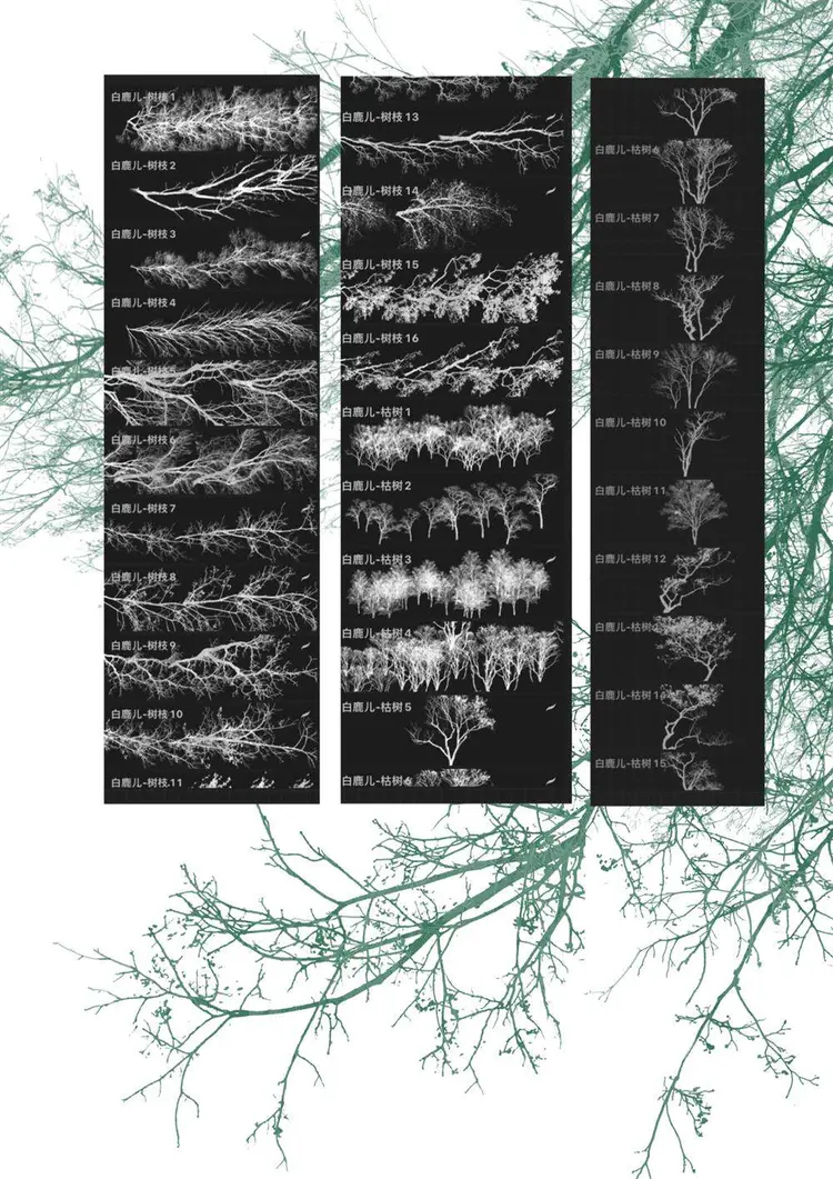 31只可商用procreate笔刷树干树枝剪影笔刷ipad绘画图片 3