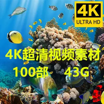 100部海洋海底生物世界海洋动物4K高清视频素材