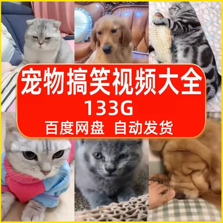133G宠物搞笑视频剪辑素材大全