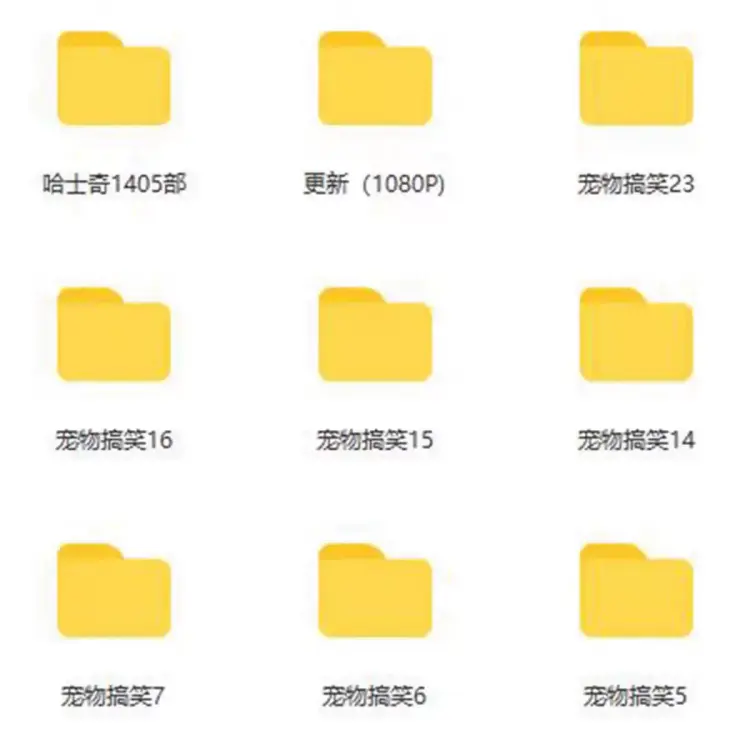 133G宠物搞笑视频剪辑素材大全 第3张