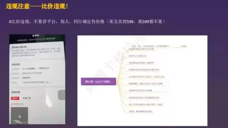 【2026抖音直播避坑指南】违规词限流词库+行为规范 电子资料 第3张