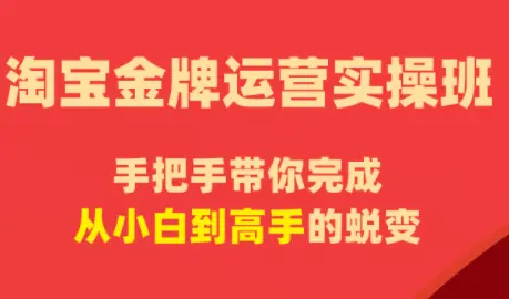 飓风电商·淘宝金牌运营实操班 第1张 飓风电商·淘宝金牌运营实操班 第1张
