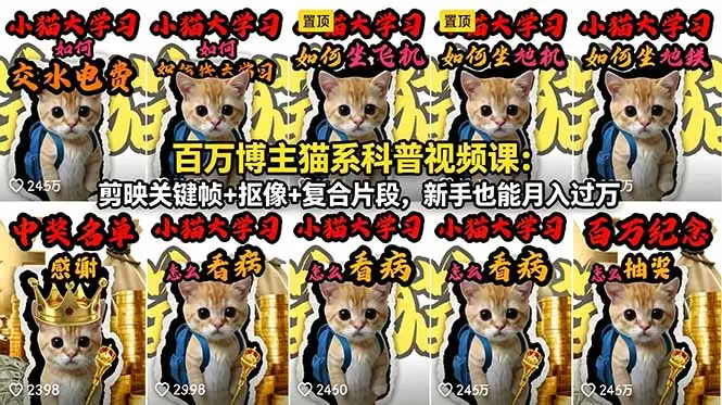 百万博主猫系科普视频课：剪映关键帧+抠像+复合片段，新手也能月入过万 第1张