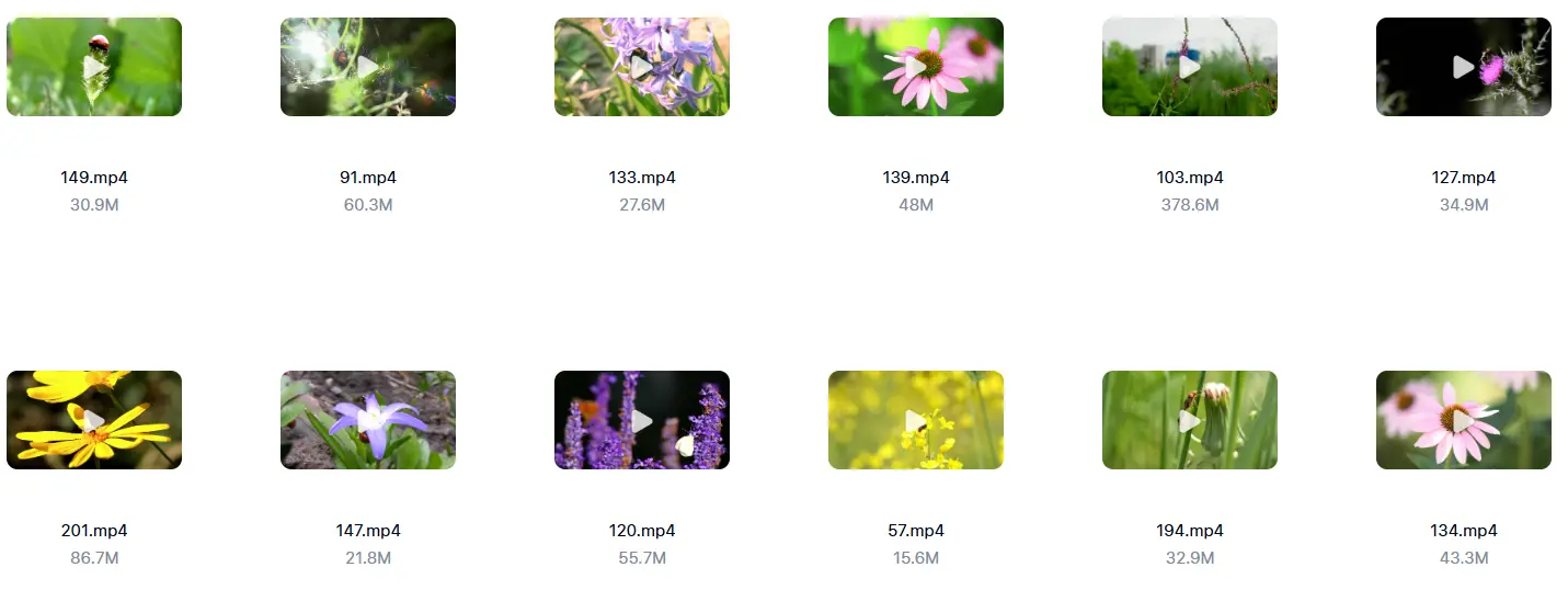 精选213款春天昆虫微距特写自然视频素材 第7张 精选213款春天昆虫微距特写自然视频素材 第7张
