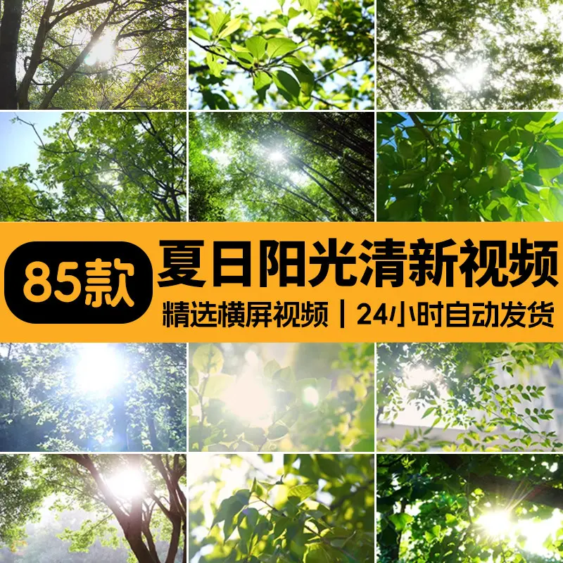 精选85款4K夏日阳光唯美清新视频素材